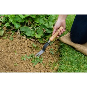 Daisy Grubber Carbon Steel - image 2