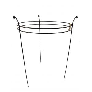 Double Ring Frame Large