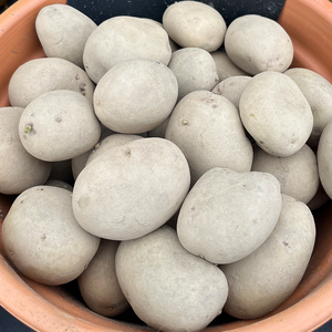 Duke of York First Early 2KG