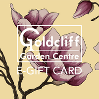 E-Gift Card