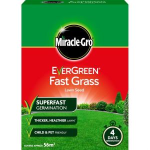 Evergreen Fast Grass Lawn Seed 56m²
