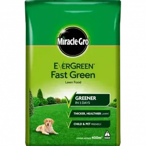 Evergreen Fast Green 400 sqm Bag