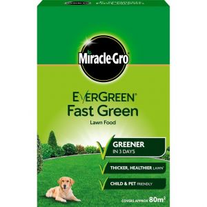 Evergreen Fast Green Lawn Food 80m²