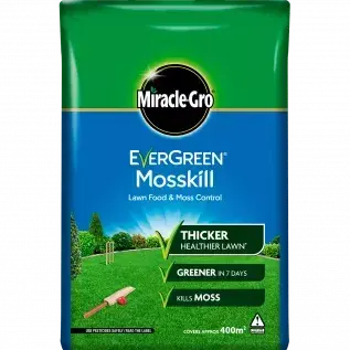 Evergreen Mosskill with Lawn Food 200m2