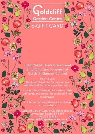 Fruity E-Gift Card - image 2