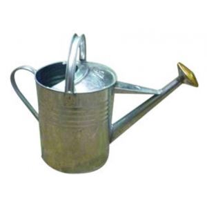 Galvanised Watering Can 9 Litre