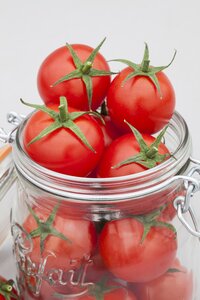 Grafted Tomato Sugargloss Cherry Type 9cm Pot