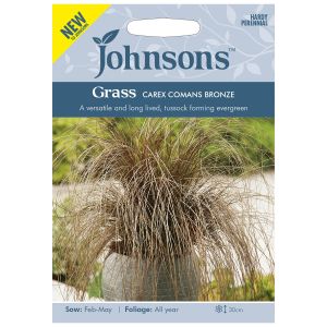 Grass Carex Comans Bronze