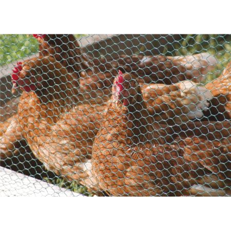 Green Wire Netting 0.5m x 10m 50mm holes