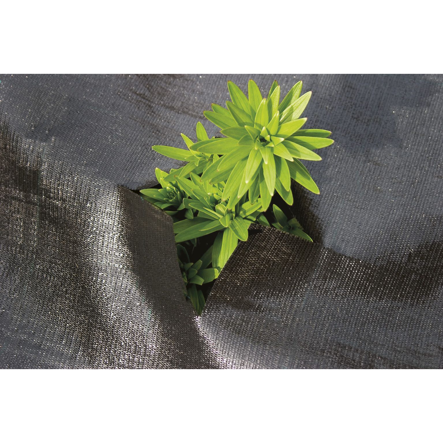 Ground Cover Fabric 1m x 12m Goldcliff Garden Centre