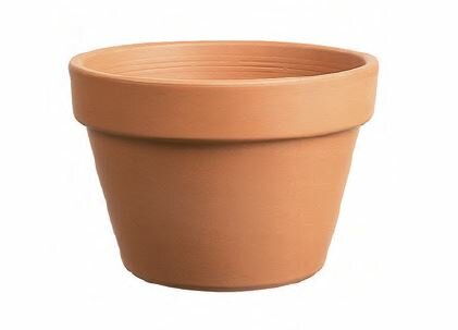 Half Pot Terracotta 21cm