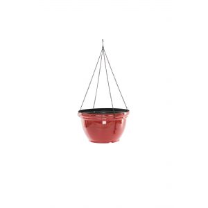Hanging Basket Red Feather