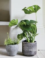 Houseplant Pots