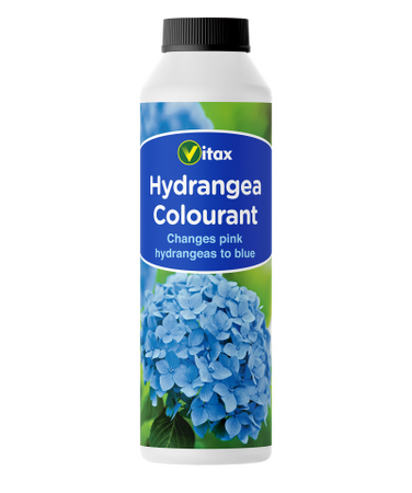 Hydrangea Colourant 500g