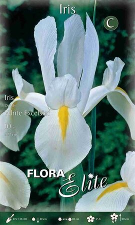 Iris White Excelsior