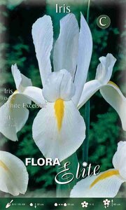 Iris White Excelsior