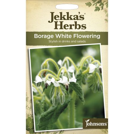 Jekka's Herbs BORAGE White Flowering - image 1