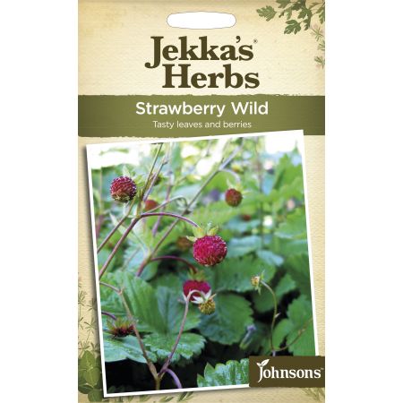 Jekka's Herbs STRAWBERRY Wild - image 1
