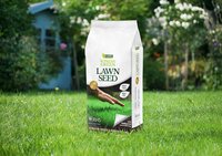 Lawn Seed