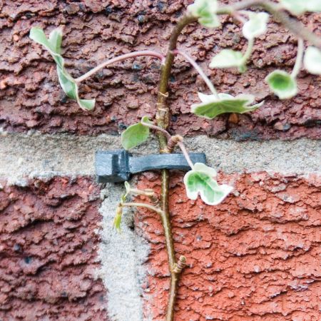 Lead Headed Nails Pack of 8