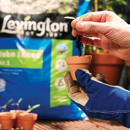 Levington John Innes No 1 Compost 10 Litre - image 2