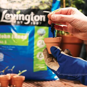 Levington John Innes No 1 Compost 10 Litre - image 2