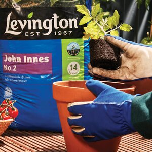 Levington John Innes No 2 Compost 10 Litre - image 2