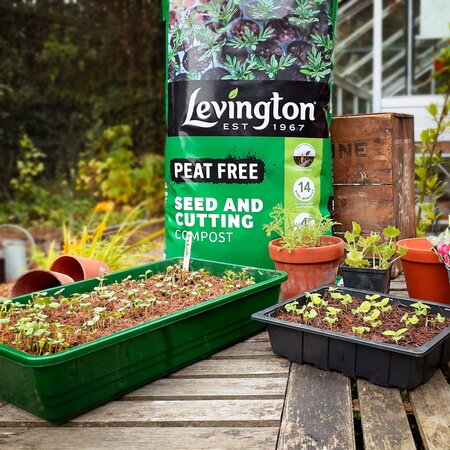 Levington Seed and Cutting Peat Free 20L - image 2