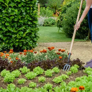 Long Handled Fork Carbon Steel Crest