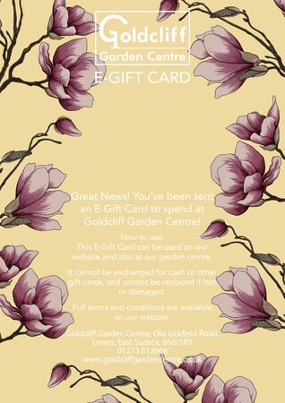 Magnolia E-Gift Card - image 2