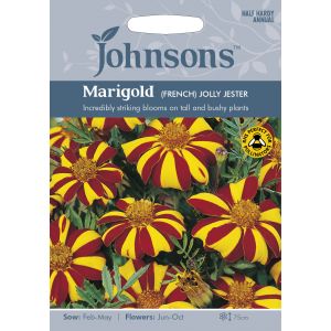 MARIGOLD (French) Jolly Jester - image 1
