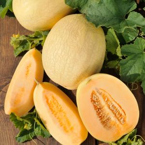 Melon Emir F1 RHS AGM Seeds