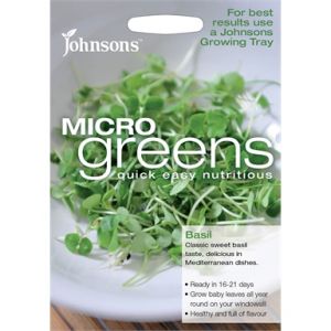 Micro-Greens Sweet Basil