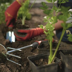 Mini Hoe Multi-change Wolf - image 2