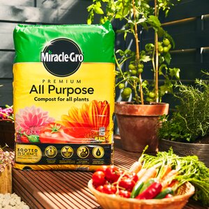Miracle-Gro All Purpose Compost 40 Litre - image 2