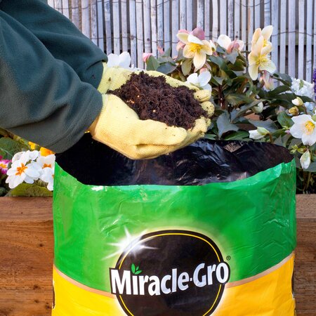 Miracle-Gro All Purpose Compost 40 Litre - image 3