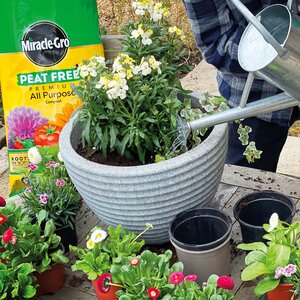 Miracle-Gro All Purpose Compost Peat Free 40 Litres - image 3