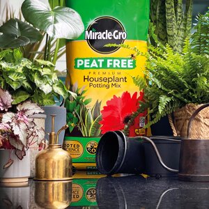 Miracle-Gro Peat Free Houseplant Compost 10 Litre - image 2