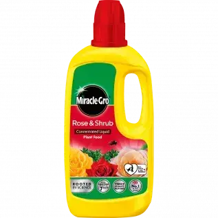 Miracle-Gro Rose & Shrub Concentrated Liquid Plant Food 800ml
