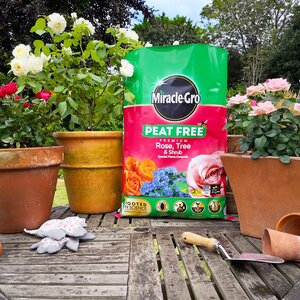 Miracle-Gro Rose, Tree & Shrub Peat Free 40L - image 2
