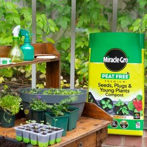 MIRACLE-GRO SEED,PLUG,PLNT PFREE 20L - image 2