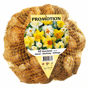Mixed Daffodils 50Pk