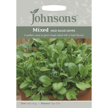 MIXED Mild Salad Leaves - image 1