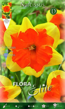 Narcissus Congress