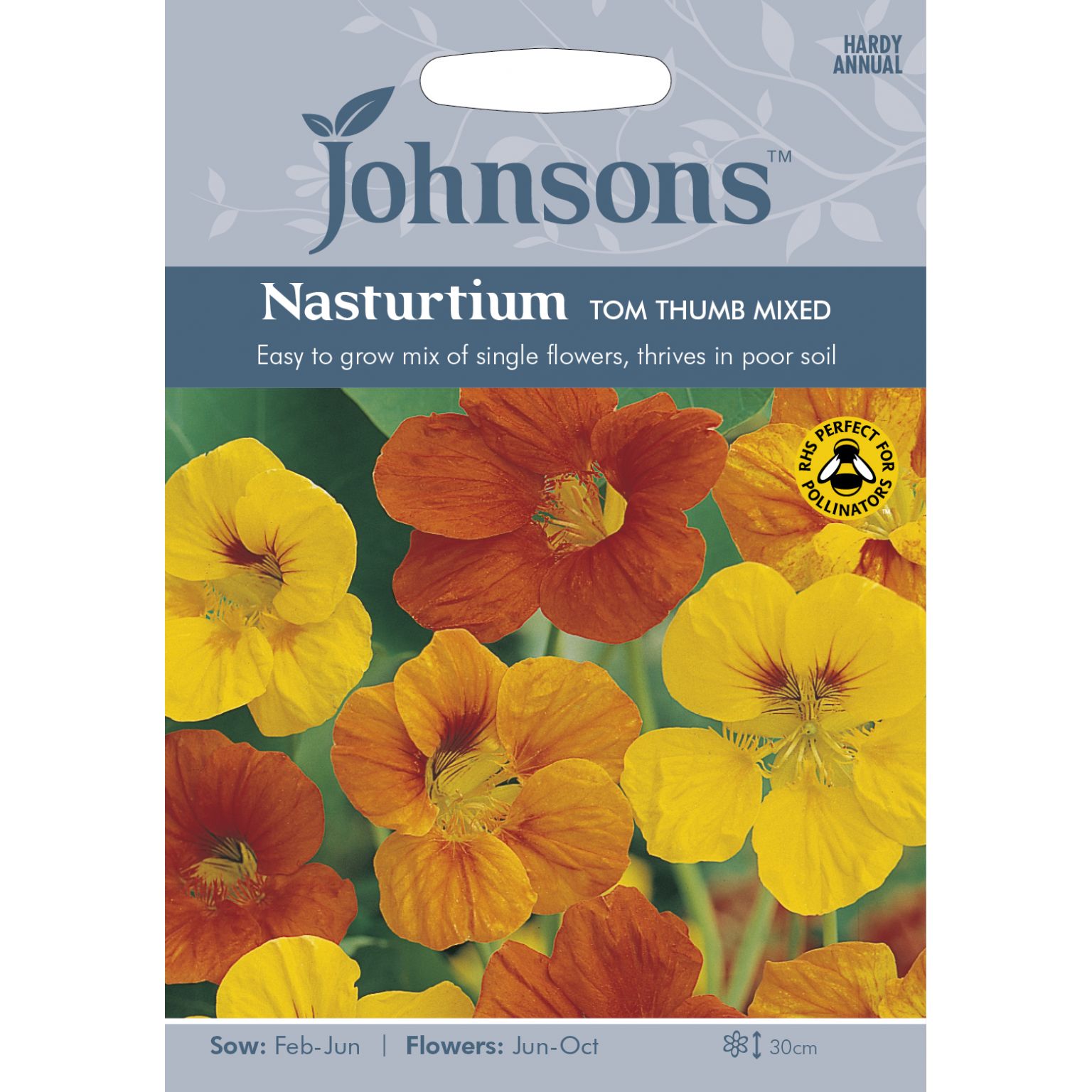 NASTURTIUM Tom Thumb Mixed Goldcliff Garden Centre