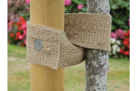 Natural Jute Webbing Tree Tie 5m x 5cm