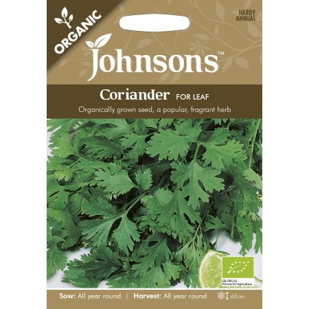 Organic CORIANDER Cilantro for Leaf - image 1