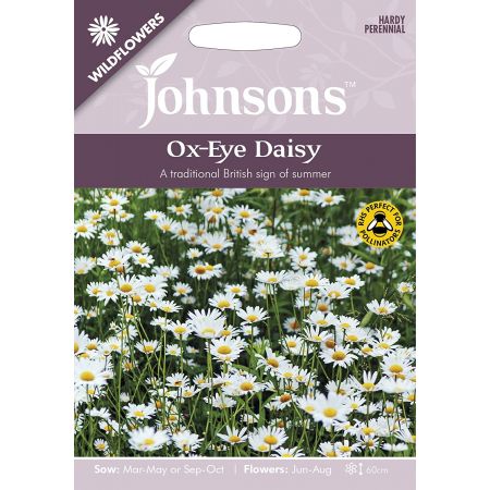 Ox-eye  Daisy Seeds