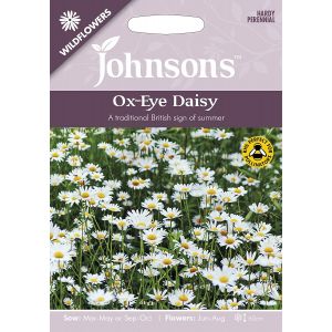 Ox-eye  Daisy Seeds