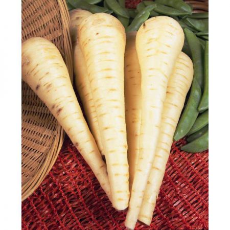 Parsnip Imperial Crown Seeds